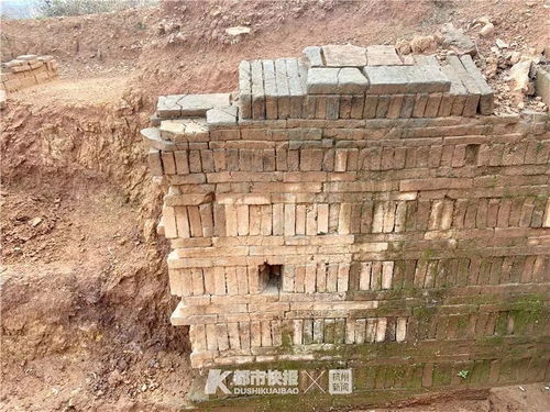 萧山湘湖边山头挖出299座墓葬 这位300年前女子的一生被揭秘