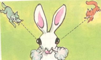 野兔和家兔的区别,野兔和家兔的区别和特征