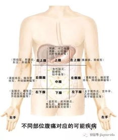 别把肚子疼不当回事,当心要了你的命