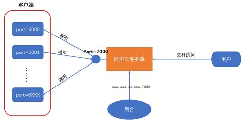 frp内网穿透 基于阿里云服务器