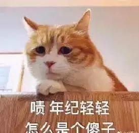 好可爱,猫咪竟然会叹气 这是为什么呢