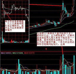 主力获利多少愿意出货