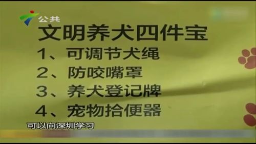 广州今年将修订养犬管理条例 