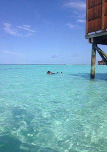 马尔代夫蕉叶岛自由游记一场浪漫的海岛之旅（马尔代夫蕉叶岛好吗）
