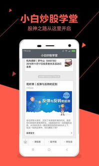 公牛炒股模拟盘为什么不能重仓一个股票