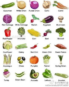 常见的100种蔬菜名称英文