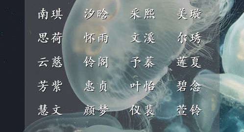 精致到骨子里的女孩名字,美得无可挑剔