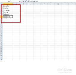 Excel表格中输入0开头的编号 
