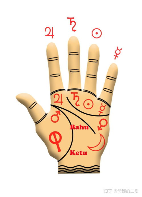 掌纹金星丘是什么,手纹相上各大星丘代表了些什么 手掌八大星丘代表的含义解析？