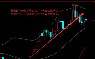 直播间里的老师先讲股票最后让做恒指和黄金能不能相信