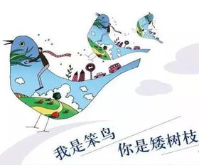 品读 上帝为每一只笨鸟都准备了一个矮树枝,看完眼泪差点掉下来