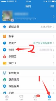 请问可用余额和帐户余额是什么意思？