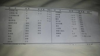 公务员体检,被通知复检 今天复检,只复查了尿检 上面潜血 我想知道会被通知不合格吗 希望医院 