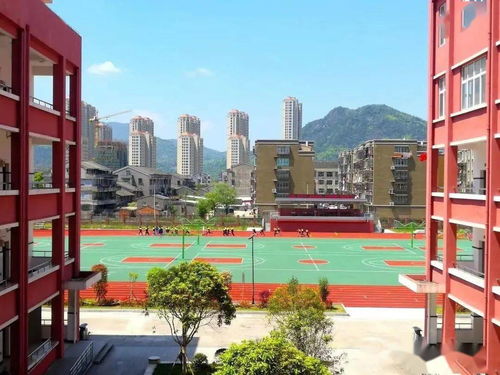 瑞安莘塍东新学校录取名单,上海79所高中提前批招生录取考生名单公布