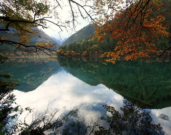 哈尔滨到九寨沟旅游团(哈尔滨去九寨沟旅游一次大概多少钱)