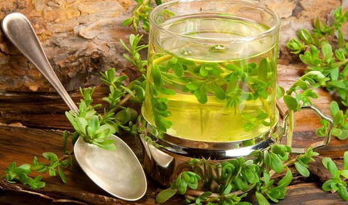 我为什么每天喝绿茶 绿茶的健康益处