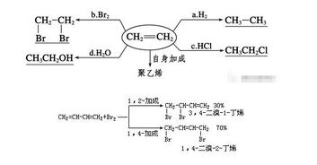 为何乙烯与溴水反应不是取代而是加成