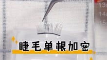 日式美睫教程新手练习单根睫毛嫁接加密手法演示,新手必看教学