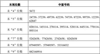 在证卷公司申购的股票,是否中签应该看编号吧?但两个人用不同的卡申购的股票,编码一样,这对吗?