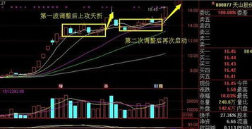 天山股份是什么