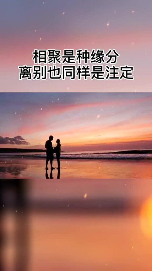 缘分就像一本书,翻得不经意会错过,读的太认真又会流泪 