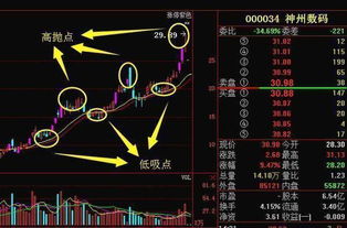 股票里的抛高吸低是什么意思？