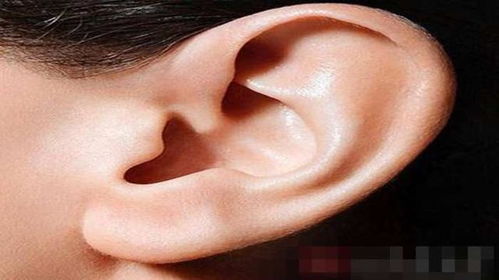 耳朵经常痒是怎么回事 可能预示5种问题 一定别忽视