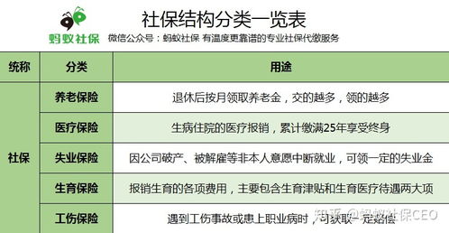 社会养老保险费内容,职工养老保险包括哪些内容