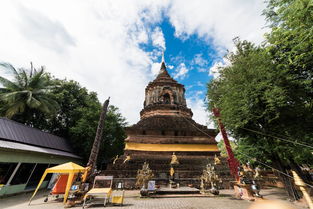 泰国拜县旅游攻略（探寻热带雨林中的世外桃源）