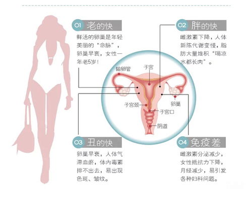 月经不调试管助孕能如何保养卵巢？