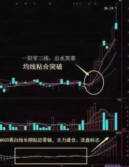 怎么看自己买的股票涨跌？那总别人问一串数字的趋势是什么意思？