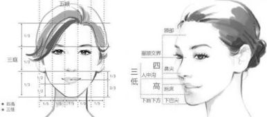 先搞清楚隆鼻和鼻综合的区别,再来隆鼻啊