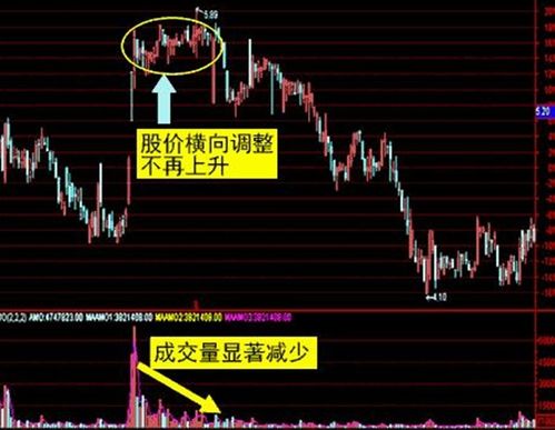 股票无量大幅下跌什么意思