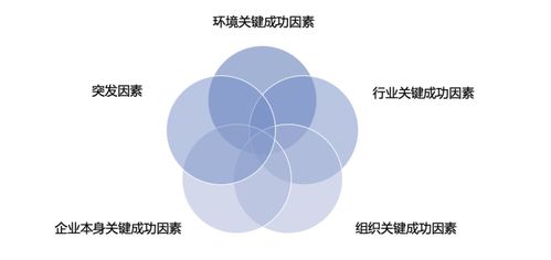 关键成功因素 竞争中取胜的关键