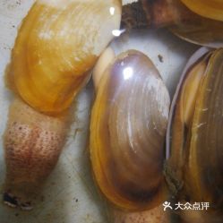 海之源海鲜加工店的象皮螺好不好吃 用户评价口味怎么样 北海美食象皮螺实拍图片 大众点评 