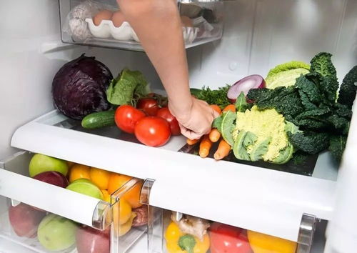利用冰箱做好这4点,最大程度保持蔬菜新鲜