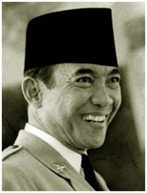 1965年,印尼发生了 排华 事件,背后的原因是什么