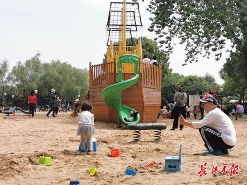 武汉江滩的沙滩能否改造成海滩 相关部门回应来了