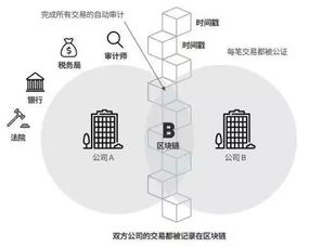 区块链的特征是什么,区块链技术在会计中的应用