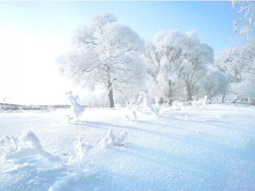 投稿 等一场深秋的雨,等一场初冬的雪