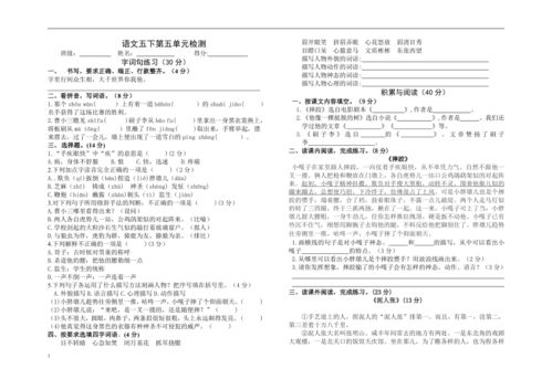 五年级下册第五单元试卷 含答案 