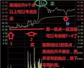 想要学习炒股,网上那些虚拟炒股软件有用吗 (虚拟主机可以炒股吗)