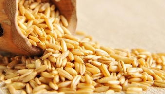 七种人不宜吃燕麦米 燕麦米尽量少吃为什么