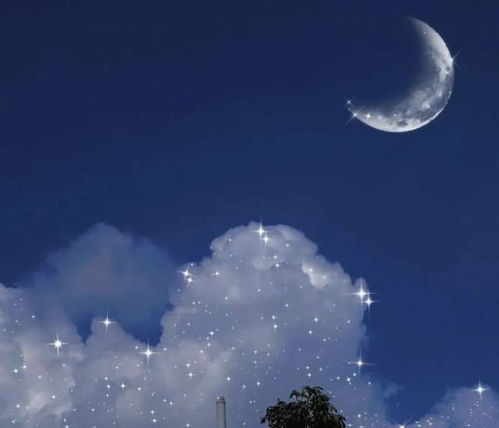 短文案欣赏 给你们分享二十条有关星星和月亮的优美文案