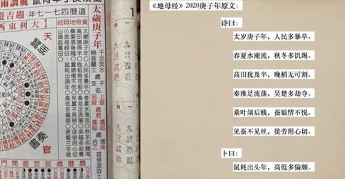 2021辛丑年人类有 惊天巨变 地母经预言 世界人口少一半