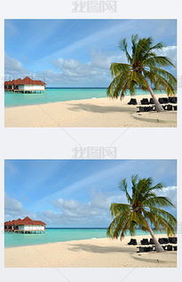 马尔代夫唯一瑞堤拉岛海滩椰子树和热带风情（瑞丽马尔代夫电话号码）