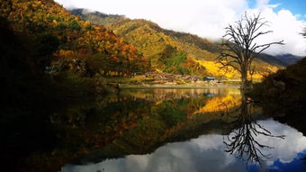 看漫山红遍,层林浸染 这些地方的彩林红叶美出了天际 这个秋天,和彩林红叶有个约会