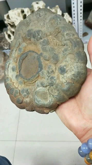 又捡到一块这么重的石头,有没有朋友认识这是什么石头 