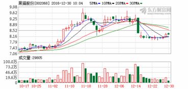 黑毛股份后市将会怎样表现，它里面有庄家吗？