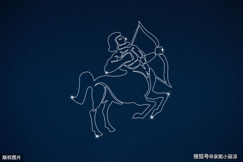 大智若愚的三个星座,小事糊涂,大事精明,懂得取舍,有全局观